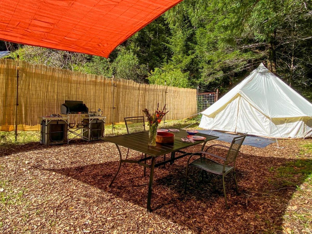 加伯维尔 Glamping In The Redwoods With A Hot Tub!酒店 外观 照片