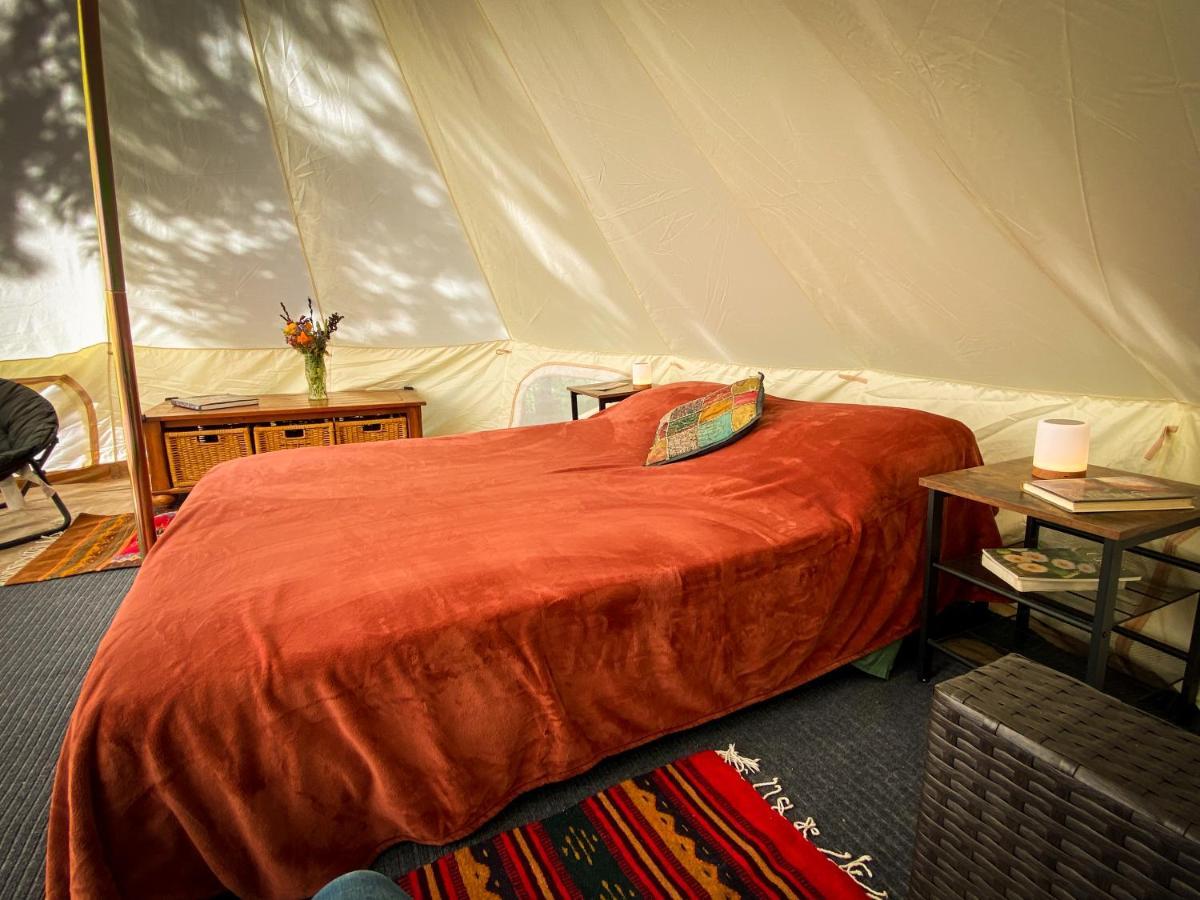 加伯维尔 Glamping In The Redwoods With A Hot Tub!酒店 外观 照片