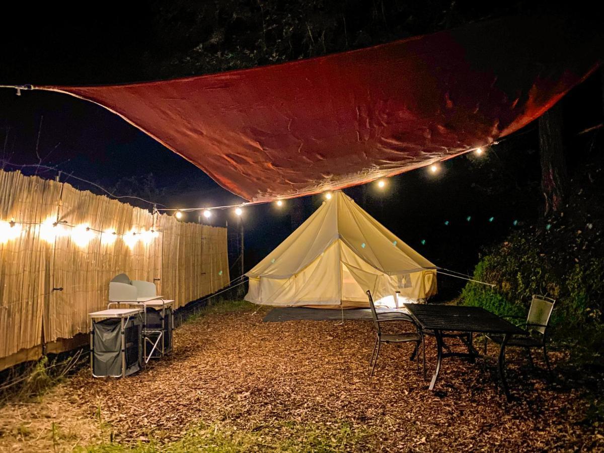 加伯维尔 Glamping In The Redwoods With A Hot Tub!酒店 外观 照片