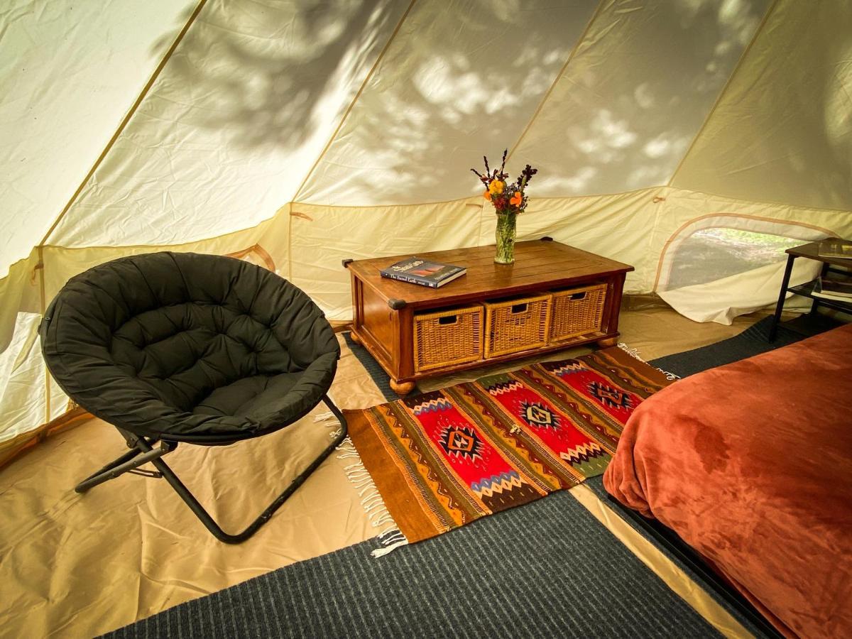 加伯维尔 Glamping In The Redwoods With A Hot Tub!酒店 外观 照片