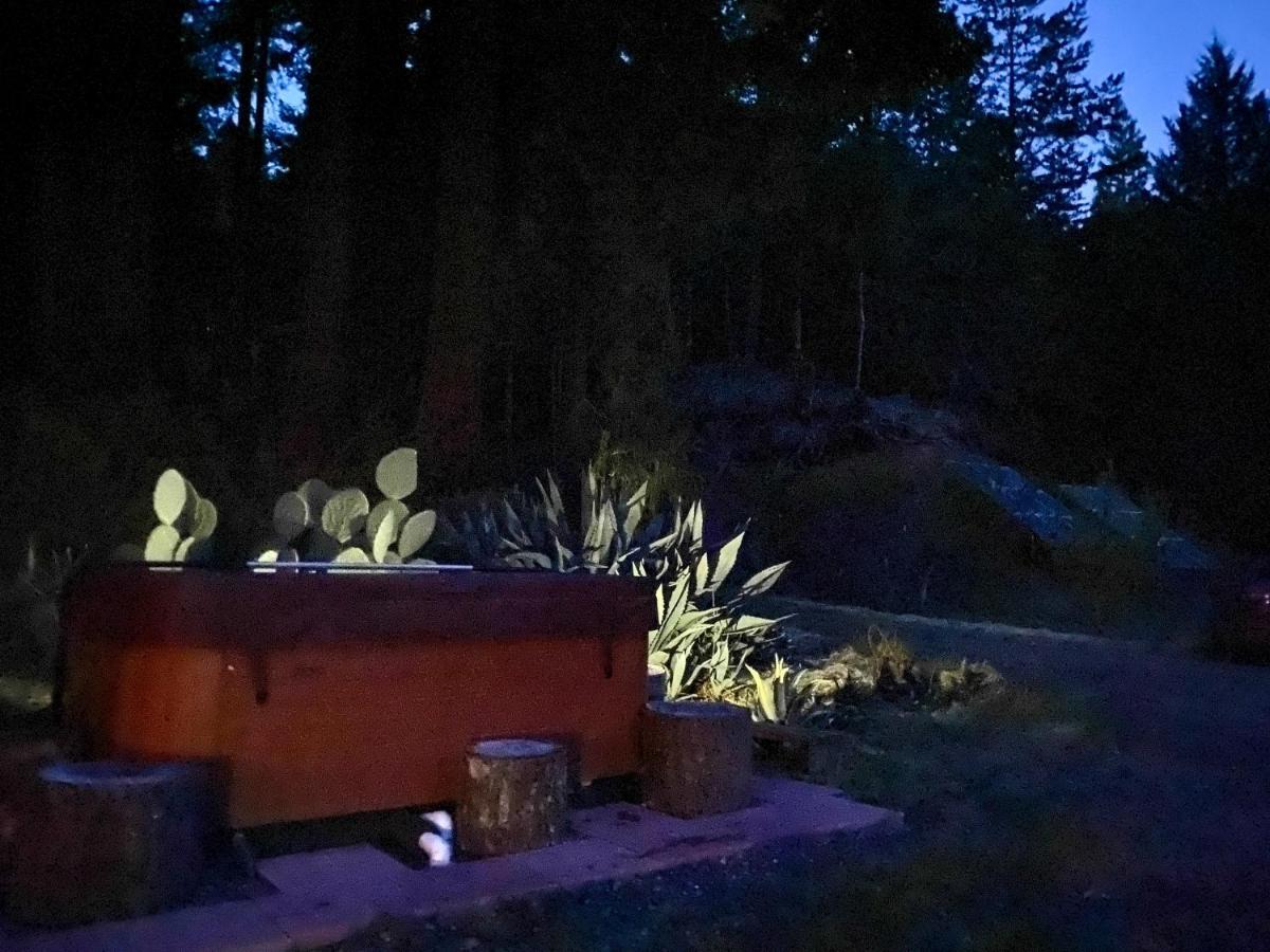 加伯维尔 Glamping In The Redwoods With A Hot Tub!酒店 外观 照片