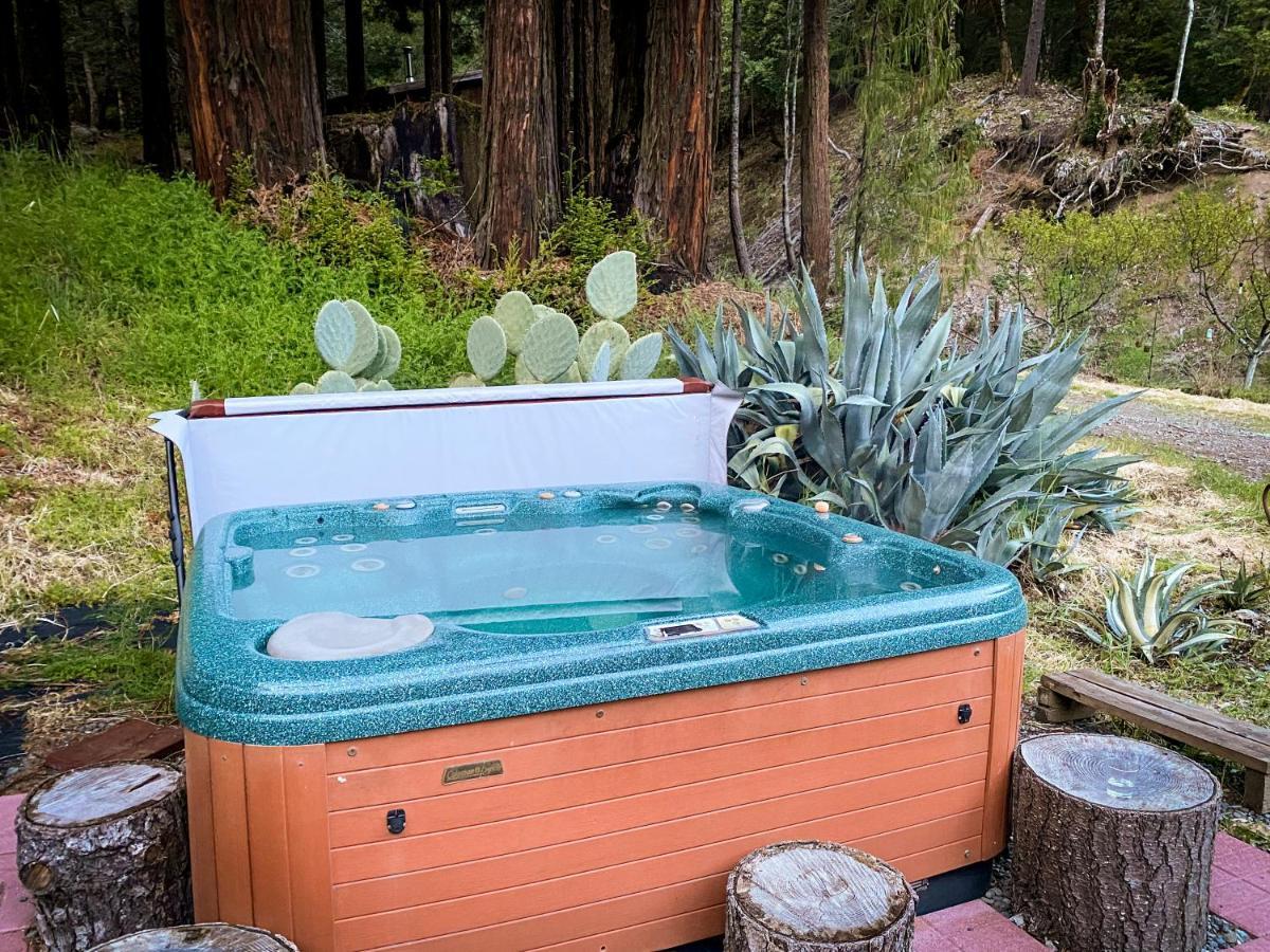 加伯维尔 Glamping In The Redwoods With A Hot Tub!酒店 外观 照片