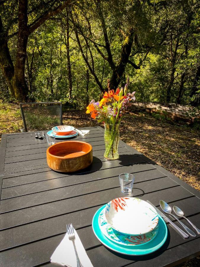 加伯维尔 Glamping In The Redwoods With A Hot Tub!酒店 外观 照片