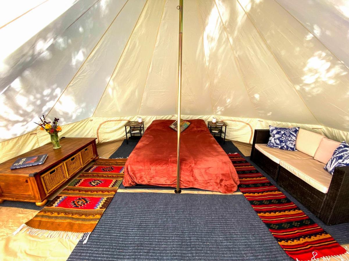 加伯维尔 Glamping In The Redwoods With A Hot Tub!酒店 外观 照片