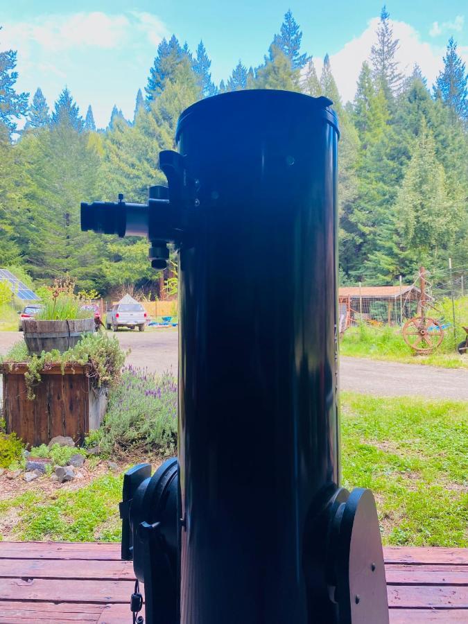加伯维尔 Glamping In The Redwoods With A Hot Tub!酒店 外观 照片