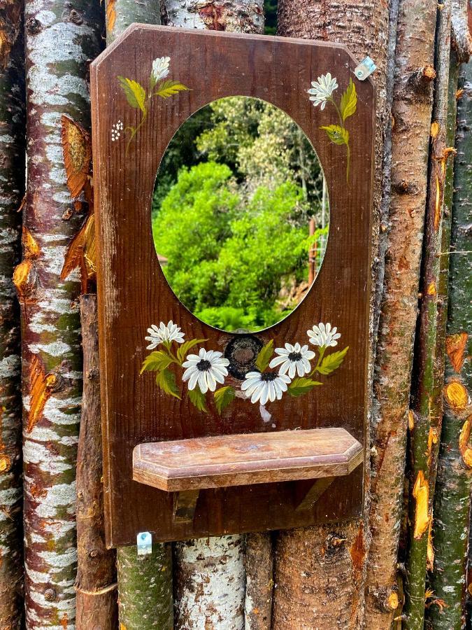 加伯维尔 Glamping In The Redwoods With A Hot Tub!酒店 外观 照片
